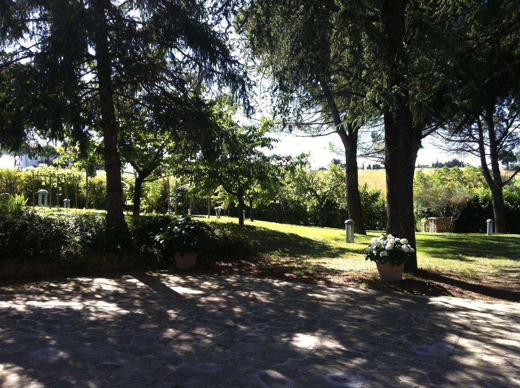 Villa Nunzia Cupramontana Εξωτερικό φωτογραφία
