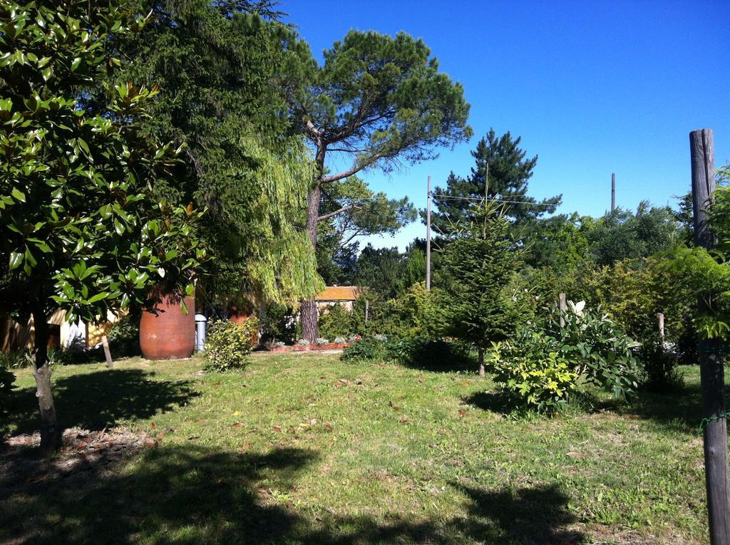 Villa Nunzia Cupramontana Εξωτερικό φωτογραφία